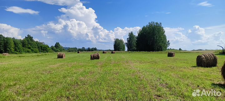 Сено луговое в рулонах