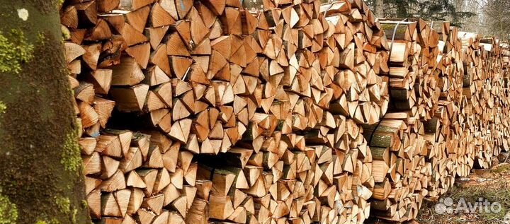 Дрова без плесени