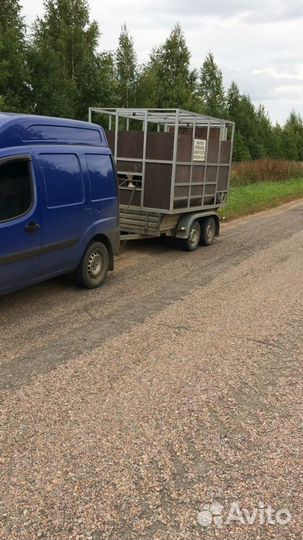 Перевозка скота