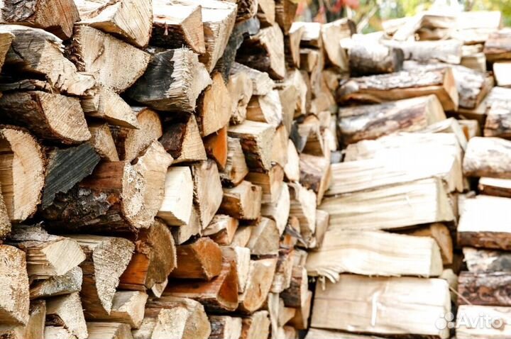 Дрова березка