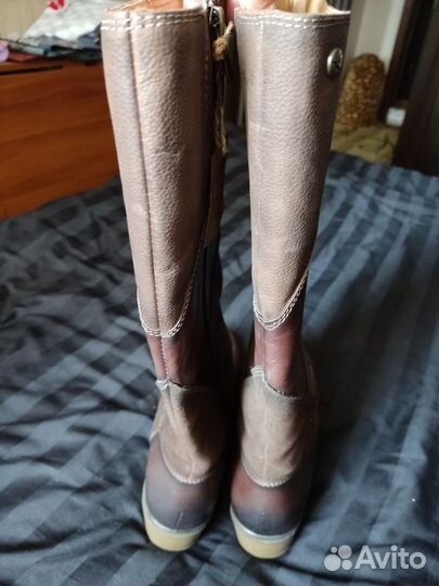 Сапоги женские демисезонные Pikolinos