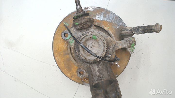 Ступица (кулак, цапфа) Ford Transit, 2007