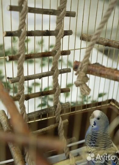 Лесница в клетку для птиц,для грызунов, хомяков