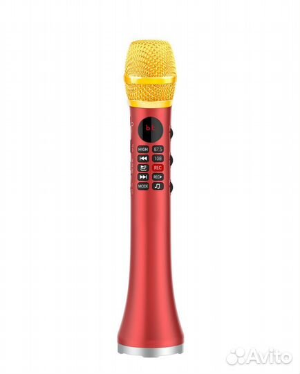 Профессиональный караоке-микрофон L-699DSP 20W