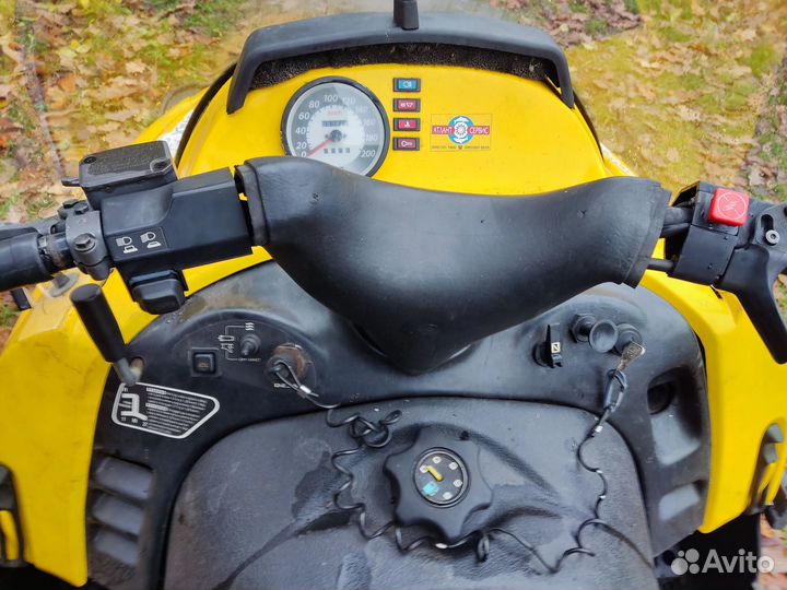 Brp Ski-Doo Skandic 600