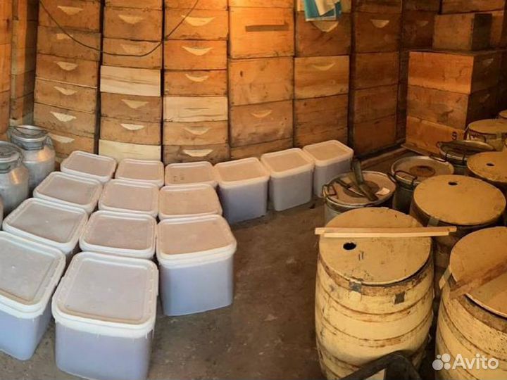 Мед оптом. Таежный мёд