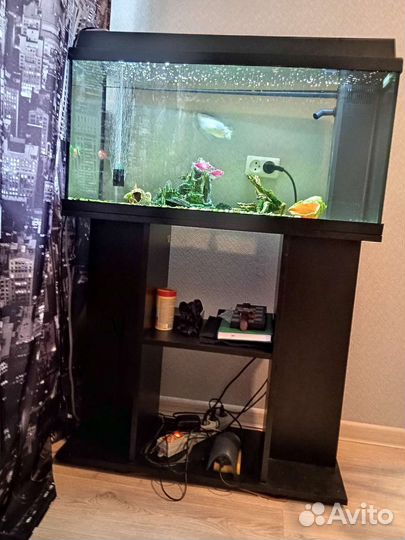 Аквариум