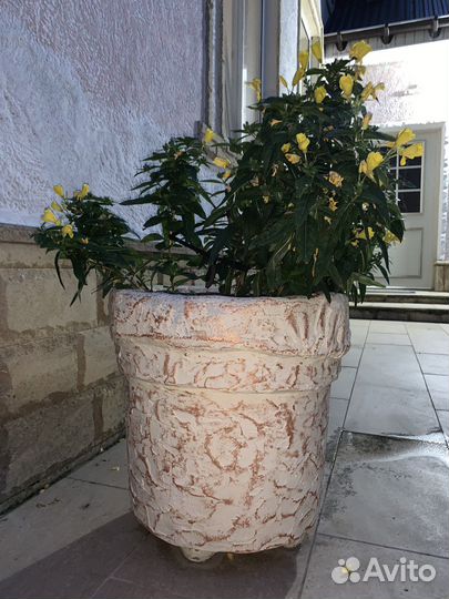 Кашпо (горшки )для растений из бетона