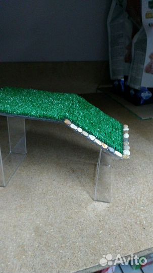 Мостик суша остров для черепахи