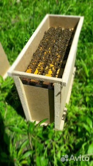 Пчелопакет