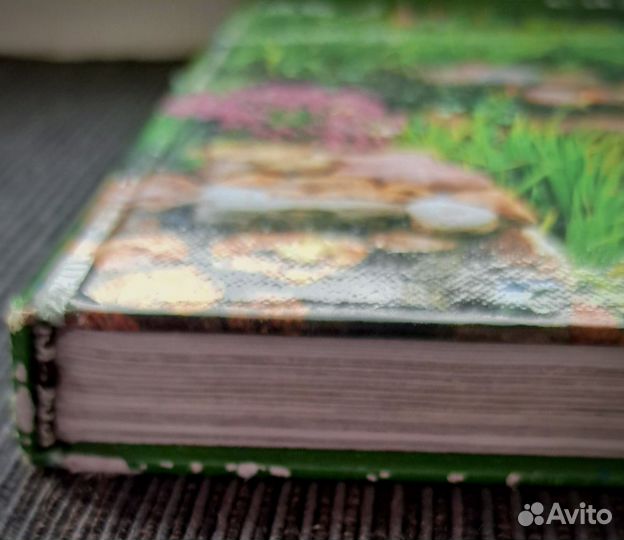 Книга Каменистые Сады Ю.Марковский