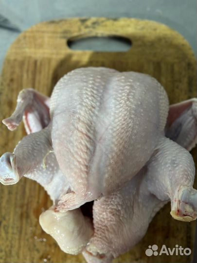 Куры домашние на мясо