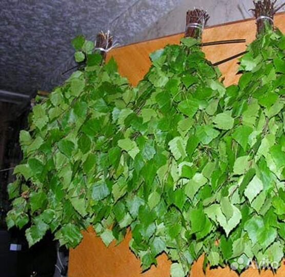 Веники березовые для бани