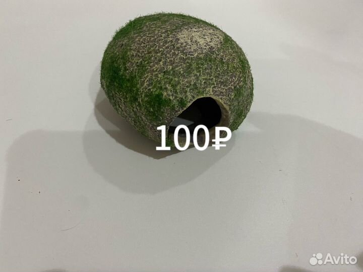 Для аквариума