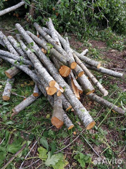 Дрова кругляк