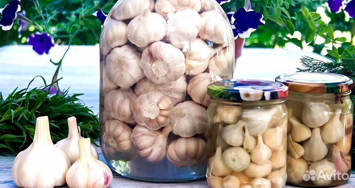 Маринованный чеснок оптом с доставкой