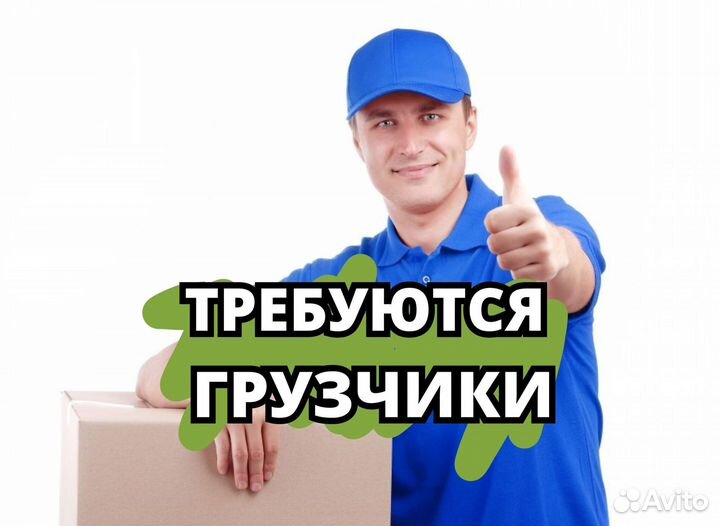 Грузчик с ежедневными выплатами.tt916