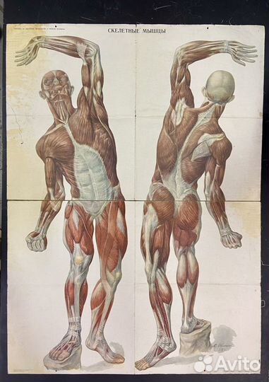 Учебное пособие времен СССР