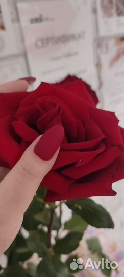 Маникюр педикюр гель лак наращивание