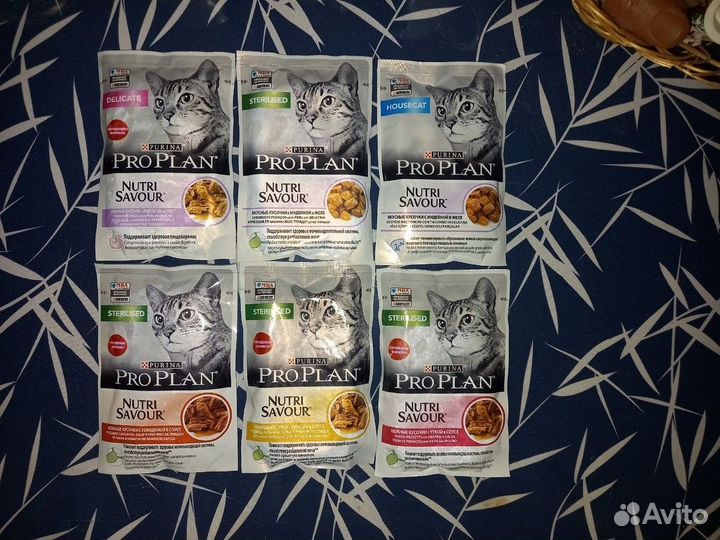 Влажный корм для кошек Proplan