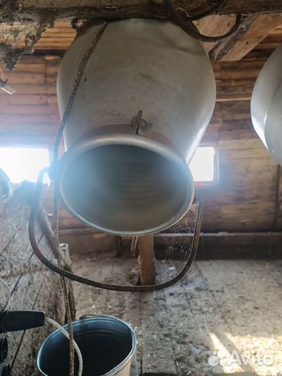 Доильный аппарат для коров бу