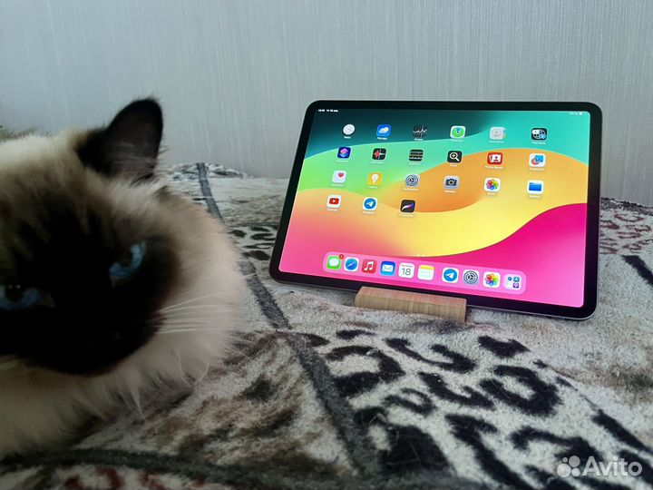 iPad Pro 11 2020 256gb Wi-Fi + Procreate