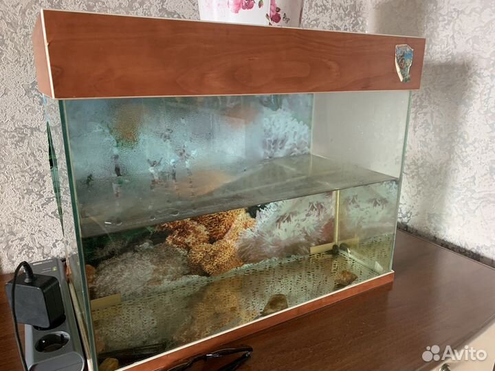 Аквариум