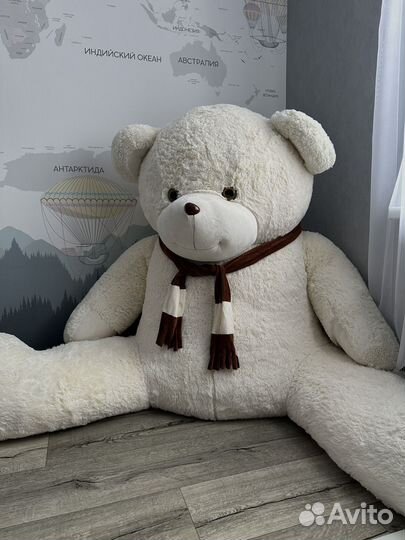 Огромный плюшевый медведь