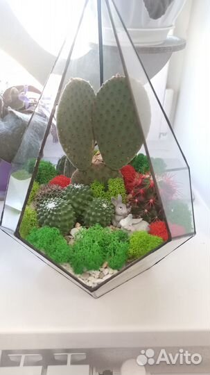 Флорариум в геометрической форме 
