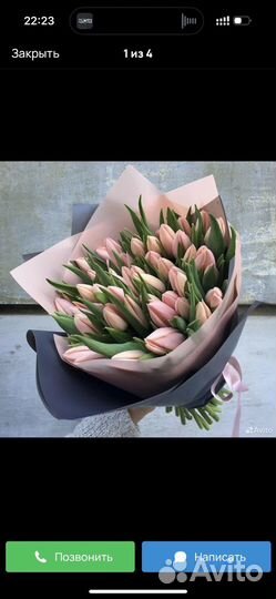 Тюльпаны предзаказ букетов на 8 марта
