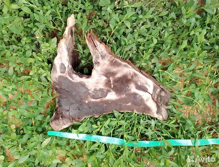 Коряги для декора