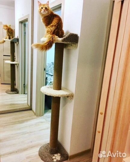 Когтеточка, вторая на ножку стола