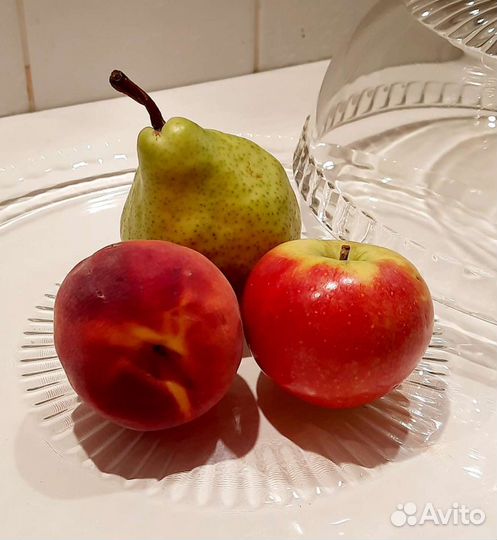 Блюдо со стеклянным куполом