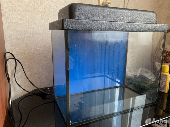 Аквариум