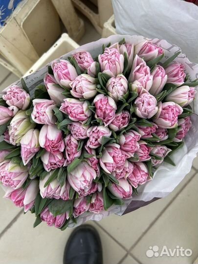 Букеты 101 роза Эквадор Дешевые букеты Мытищи