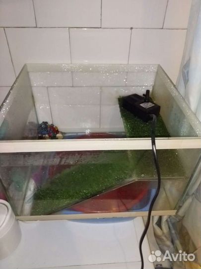Аквариум