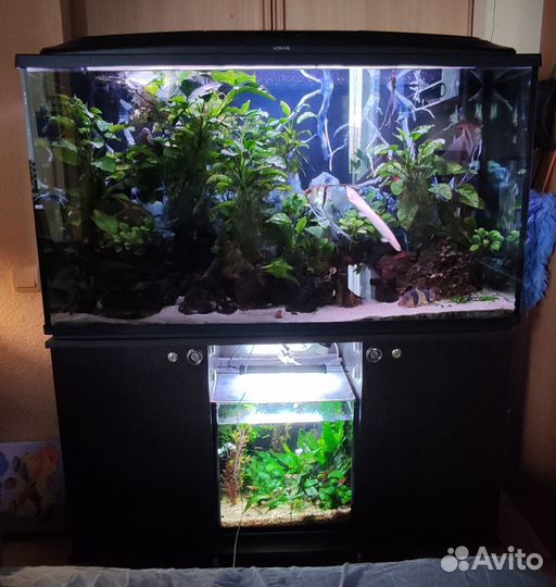 Аквариум с тумбой 300 литров