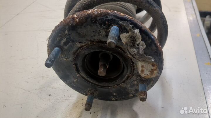 Амортизатор подвески правый передний Ford Explorer, 2017