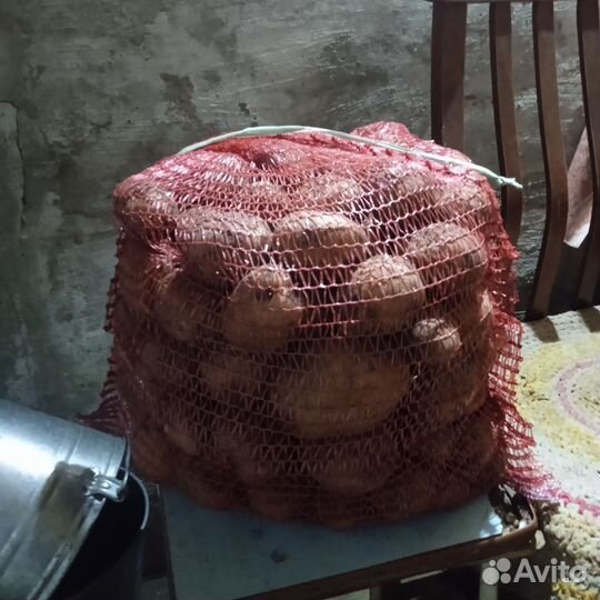 Продам картофель