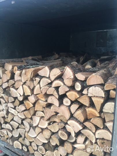 Дрова колотые дуб
