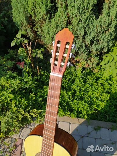 Классическая гитара Cort AC100-OP