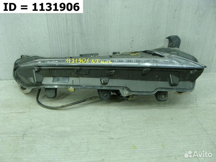 Птф передняя правая дхо Lexus NX