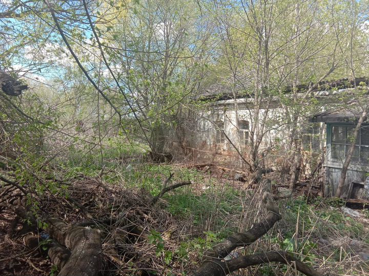 Участок 64 сот. (ИЖС)