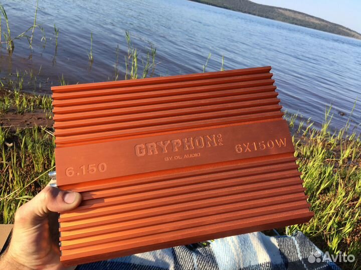 DL audio Gryphon Pro 6.150