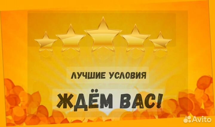 Грузчик Выплаты гарантируем /Без опыта /Хорошие ус