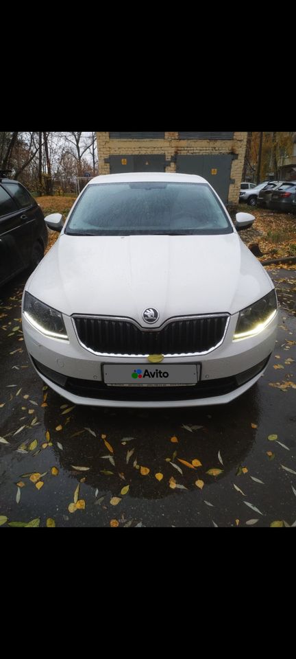 Skoda Octavia: фото владельца