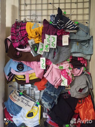 Одежда для собак