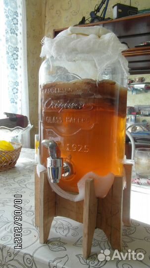 Чайный гриб комбуча