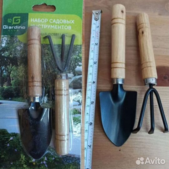 Лавр Нобилис (Nobilis)