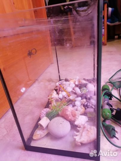 Аквариум